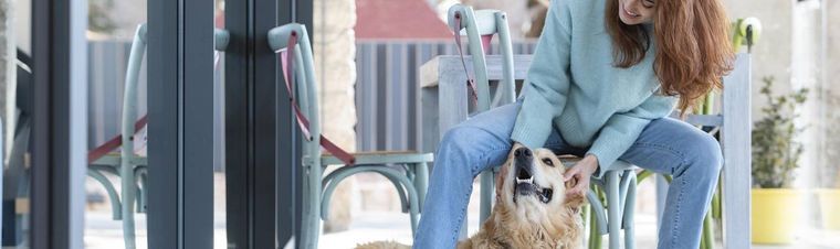 Dog Boarding VS Dog Sitting: Which to Choose?