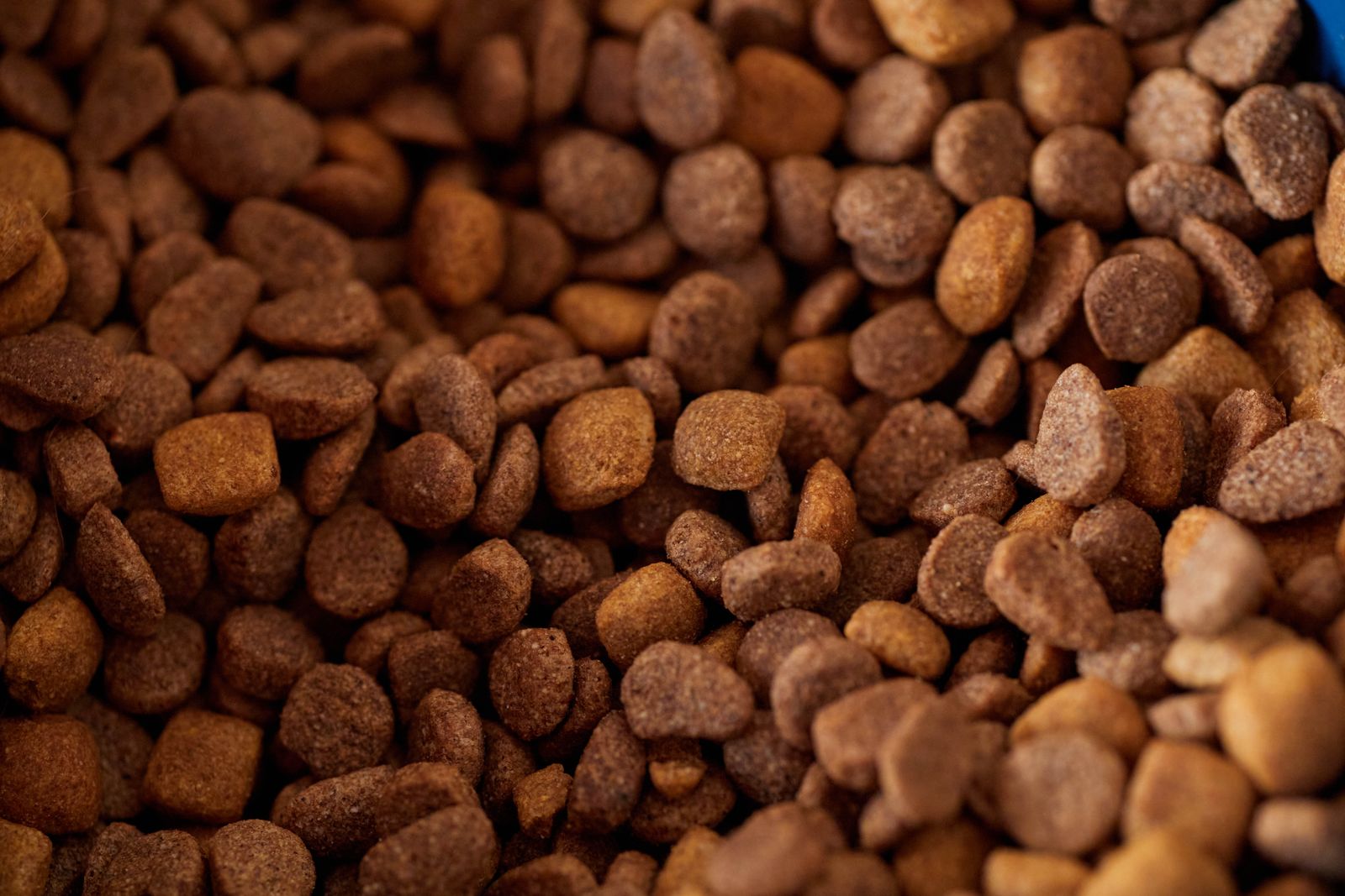 How to Read Pet Food Labels