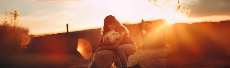 Leaving My Dog Felt Impossible — Until It Wasn't
