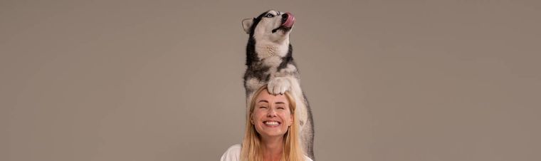 What is Dog Sitting? Responsibilities And Benefits of Doing What You Love To Do