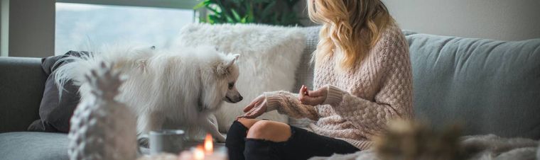 Where to Leave the Dog While on Vacation? 3 Great Ways